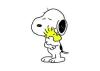 Profile picture for user Ws Mamma